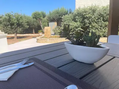 a plant in a white bowl on a wooden table at Olea in Castelluzzo