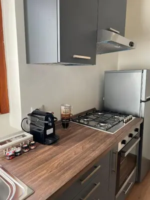 a kitchen counter with a stove and a refrigerator at LaPignaVerde Suites in Palermo