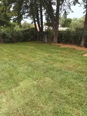 a yard with green grass and some trees at Villa Regina ai Faraglioni di Scopello in Scopello