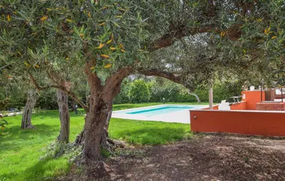 an orange tree in a yard with a swimming pool at Amazing Home In Castellammare Del Golf in Castellammare del Golfo