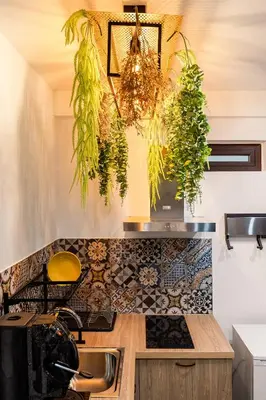 a kitchen with plants hanging from the ceiling at Luxury House Ballarò in Palermo