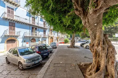 a tree on the side of a street with parked cars at Loft Piazza Marina By DomuSicily in Palermo