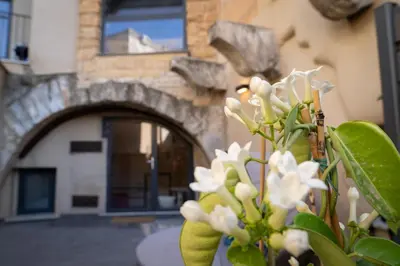 a plant with white flowers in front of a building at Boutique Apartment 