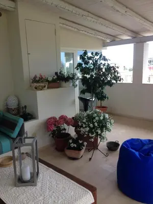 a living room filled with lots of potted plants at marinellahomeandsea in Palermo
