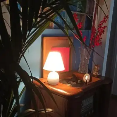 new suite