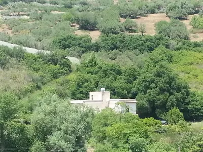 a small white building in the middle of trees at Casa Gelferraro in Calatafimi