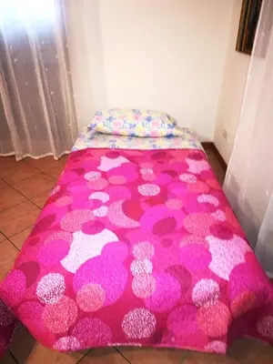 a pink bed with a pink and white blanket at Rimpetto alle Clarisse in Palermo