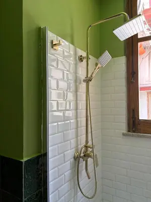 a shower in a bathroom with a green wall at Centrale e accogliente Casa Papèl in Palermo