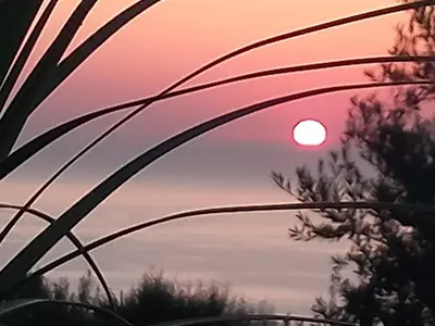 a sunset over a field with tall grass at Where The Sun Rises in Scopello