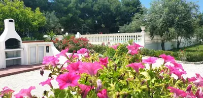 a garden with pink flowers and a white fence at Villa Nunziatella Badia in Trappeto