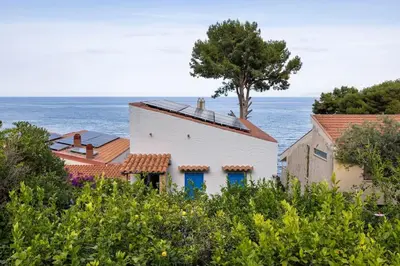 a white house with a tree in front of the ocean at Terrazza sul mare in Santa Flavia