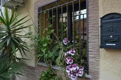 a window with flowers and a black door at B&B Jolly house Bolognetta in Bolognetta