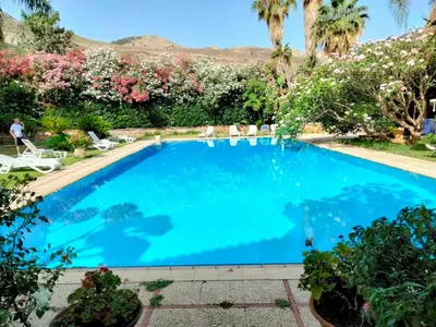 a large blue swimming pool with palm trees at Villa Megna - Green Paradise B&B in Sferracavallo
