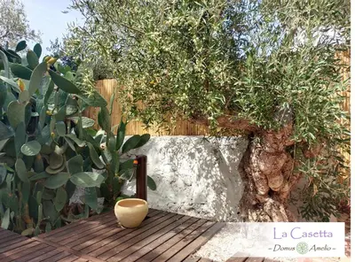 a vase sitting on a wooden table next to a tree at Domus Amelio - Country Rooms in Cinisi