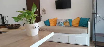 a living room with a couch with pillows and a potted plant at Metro 171 Loft in Palermo
