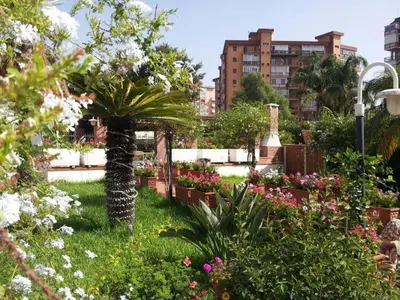 a garden with flowers and plants in a city at Oasis Green Villa in Palermo