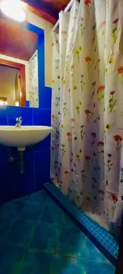 a bathroom with a sink and a shower curtain with fish on it at Accasetta in Palermo