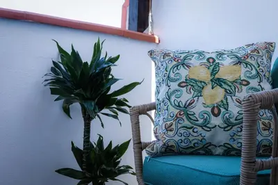 a pillow on a chair next to a plant at Vanda's Terrace in Palermo