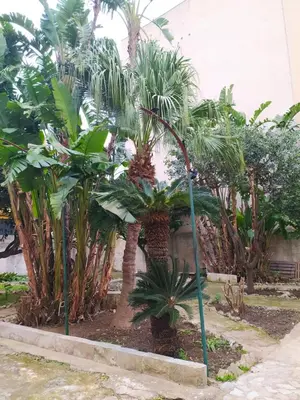 a house with stairs and potted plants on it at La Rugiada-con giardino e parcheggio moto privato in Alcamo