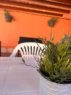 a white table with a white chair and a plant at Casa Vacanze Filippa in Balestrate