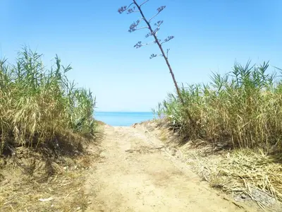a dirt road leading to the ocean on a beach at Campofelice Holidays West Villa in Campofelice di Roccella