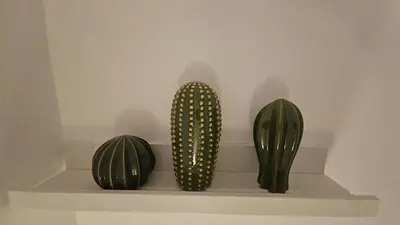 three cactuses on a shelf in a room at Dietro Ballarò - Guest House in Palermo