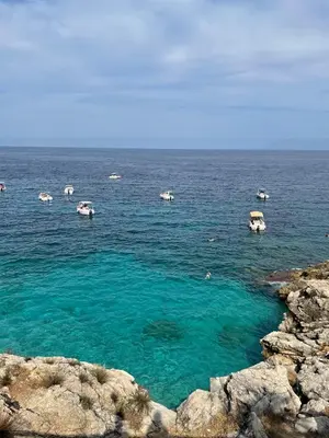 a group of animals swimming in the water at ViLoKa Sicilian Guest House in Calatafimi