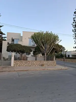 a house on the side of a street with a tree at Villa Luxury Fronte mare San Vito lo Capo in San Vito lo Capo