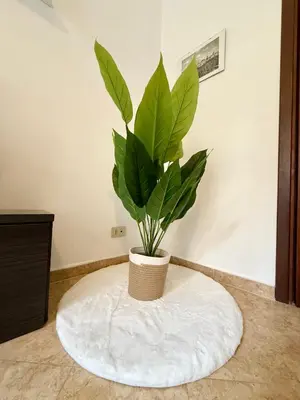 a potted plant sitting on a round table at Gigi's Apartment in Palermo