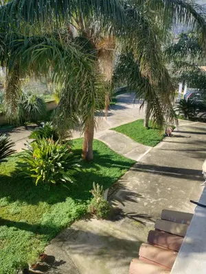 a sidewalk with palm trees in a park at Carini house in Carini