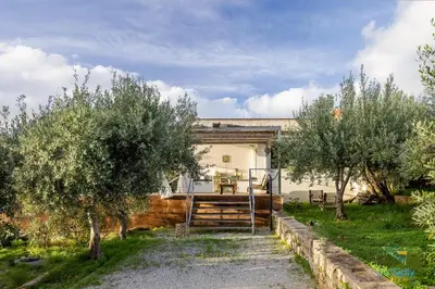 a house in the middle of a garden with trees at Verosicily Panoramic House with access to the sea in Terrasini