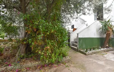 a ivy covered tree next to a white building at Gorgeous Apartment In Capaci With Wifi in Capaci