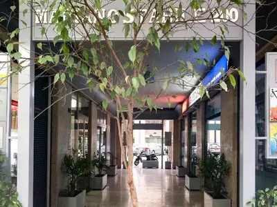 a tree in the hallway of a building at Suite in Center Apartments in Palermo