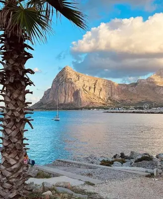 a palm tree next to a body of water with a mountain at Casa Vacanza Ciglietti in San Vito lo Capo