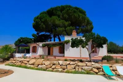 a house with a stone wall and a tree at Villa Due Pini con piscina privata in Alcamo