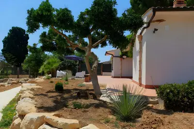 a tree in a yard next to a building at Villa Due Pini con piscina privata in Alcamo