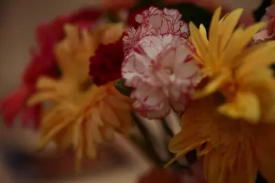 a bunch of different colored flowers in a vase at B&B Massimo Inn in Palermo