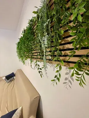 a plant hanging on a wall next to a couch at Vicolo 20 in Palermo