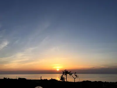 a sunset over the ocean with a tree in the foreground at A Casa di Amy in Macari