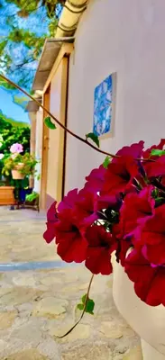 a white vase filled with red flowers next to a building at History and Art Casa Bellacera in Casteldaccia