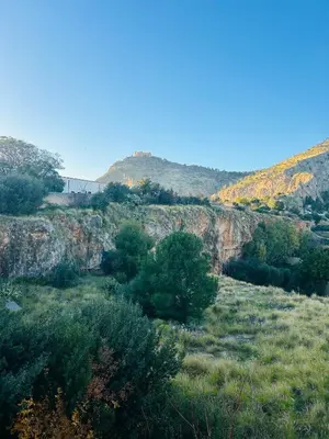 a house on top of a rocky hill with trees at Casa Aura in Palermo