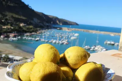 a bowl of lemons with a view of a harbor at Dimore Barraco - SiciliaDaMare in Castellammare del Golfo