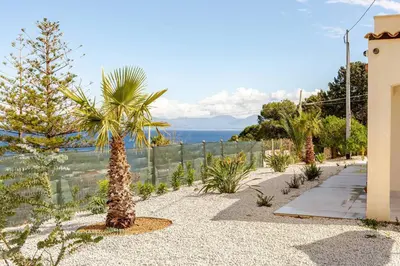a palm tree in the middle of a gravel path at Villa Four by Sicily Travelling Villas in Scopello