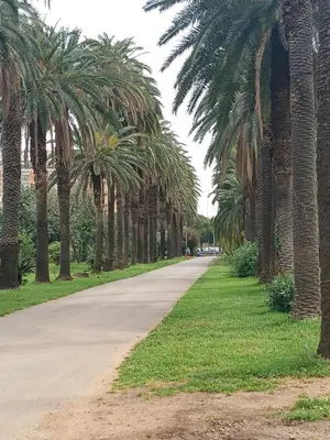 a road lined with palm trees in a park at Maison Du Parc in Palermo