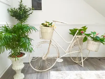 a white bike with two potted plants in a room at TAM Vacanze B&B in Cinisi