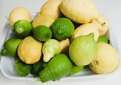 a white bowl filled with lemons and green lemons at Sweet Home Pioppo in Pioppo