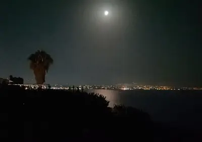 a moonlit view of a palm tree and the water at Villa dei tramonti in Terrasini