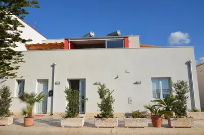a white house with potted plants in front of it at B&B Albatros in Castelluzzo