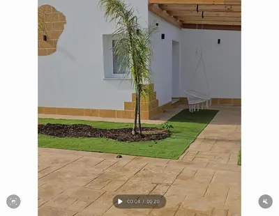 a palm tree sitting in the middle of a courtyard at The Moon Suite in Palermo