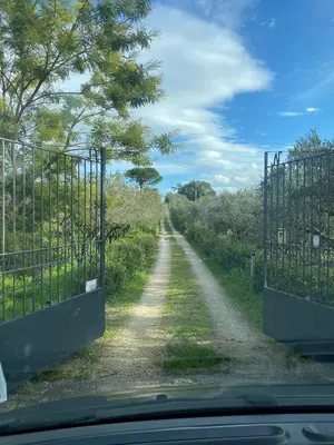a dirt road with a fence on the side at The Green Planet in Balestrate